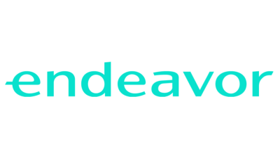 endeavor